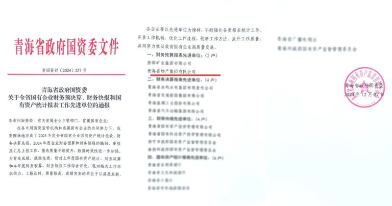 省物產(chǎn)集團(tuán)榮獲省國(guó)資委2024年度財(cái)務(wù)預(yù)算報(bào)表工作先進(jìn)單位