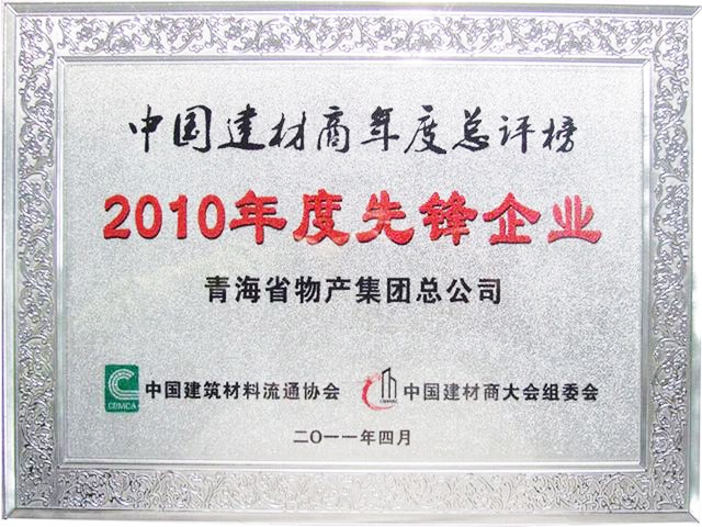 2010年度先鋒企業(yè)